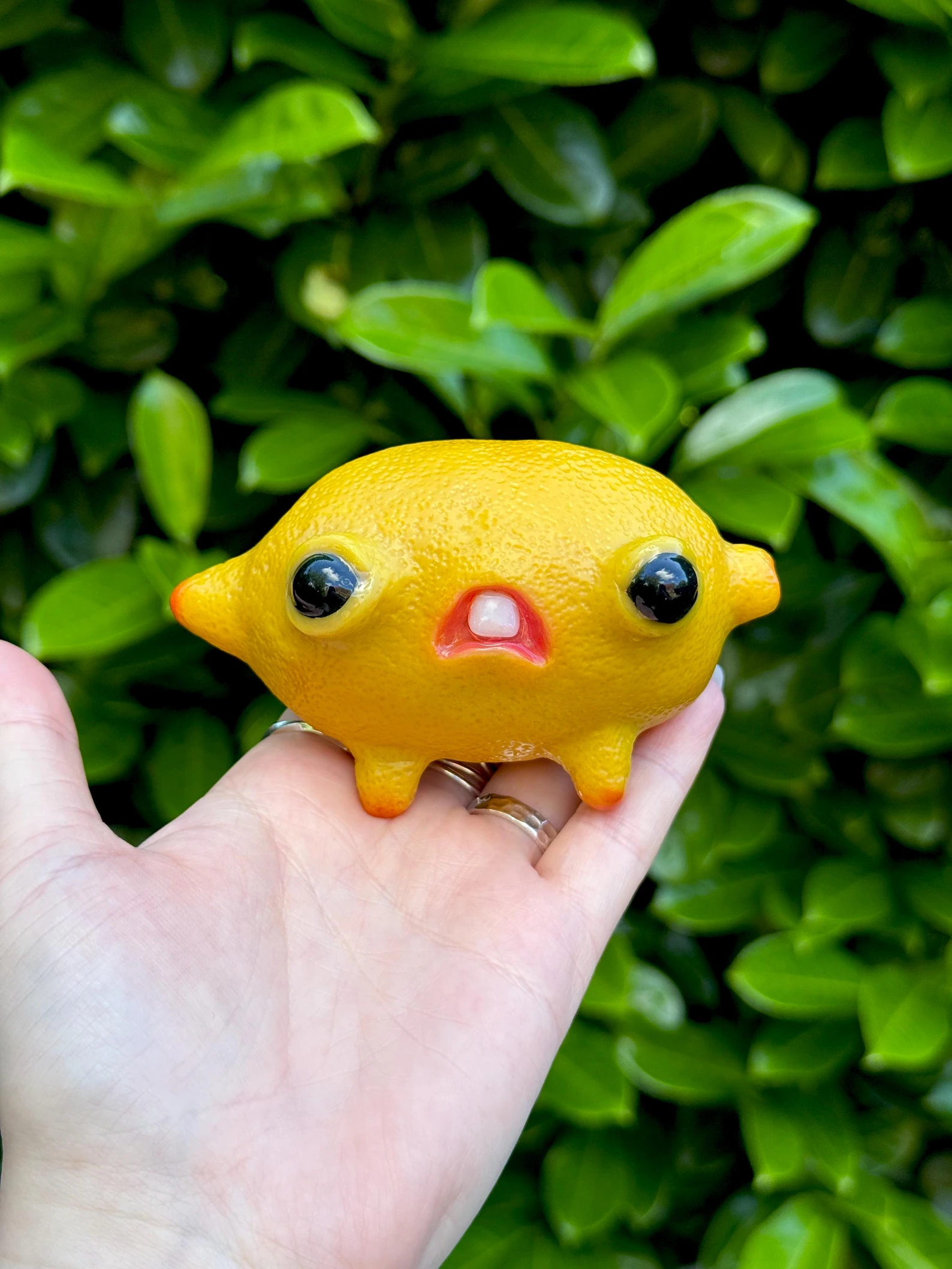 Cursed lemon friend